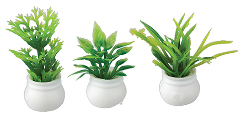 Plants Set, 3 pc.